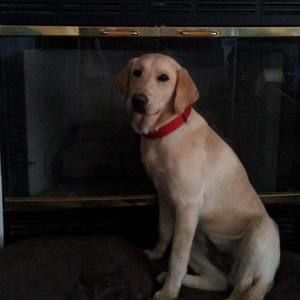 Meet your Posher, Stuart